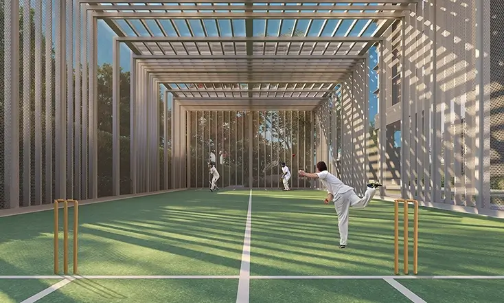 Cricket Pitch