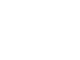 Altis Logo
